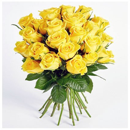 A Bunch of Yellow Roses