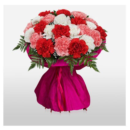 Bouquet of Carnation Flowers