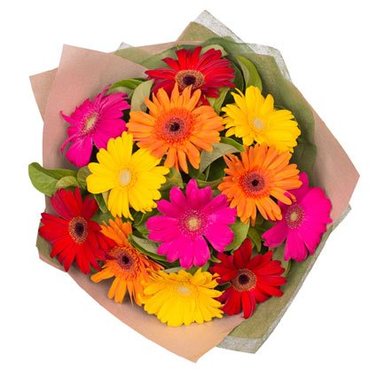 Bouquet of Gerbera Flowers