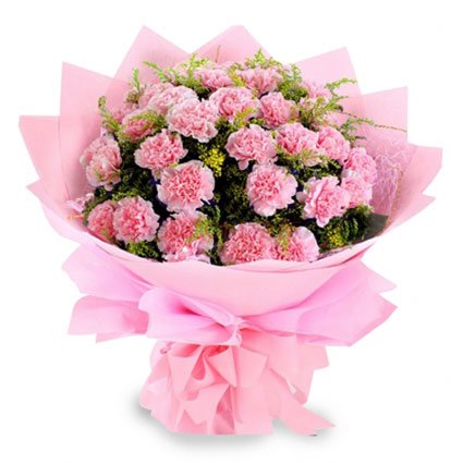Bouquet of Pink Carnations