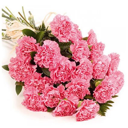 Bunch of Carnations