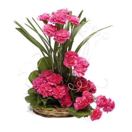 Carnation Arrangements