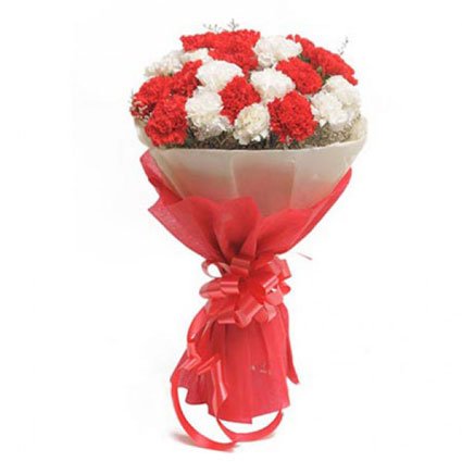 Carnation Hand Bouquet