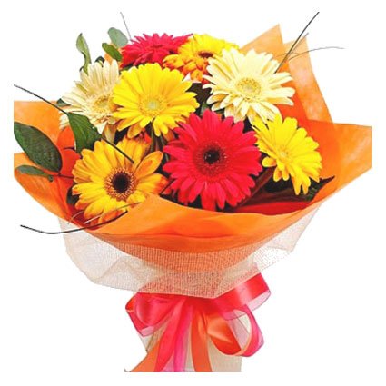 Gerbera Bouquet