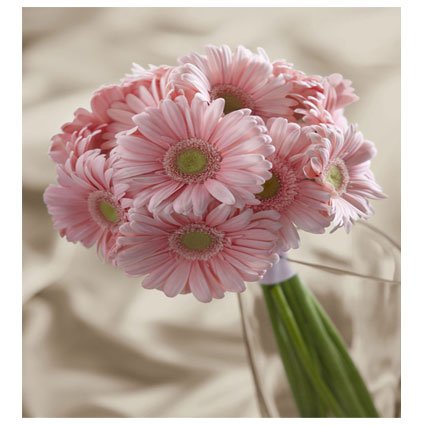 Gerbera Bridal Bouquet