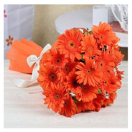 Orange Gerberas