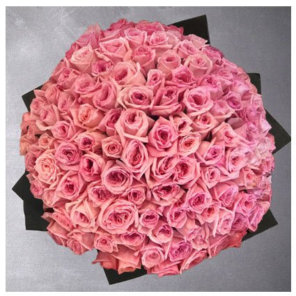 100 fresh-cut pink roses
