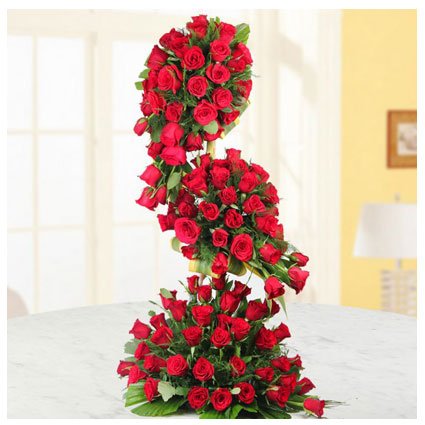 Red Roses Surprise