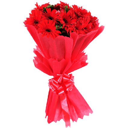 Red Gerbera Bouquet