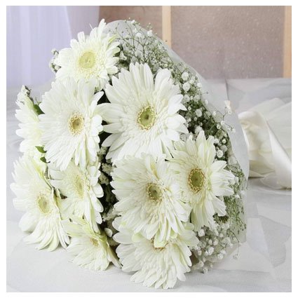 White Gerbera Bouquet
